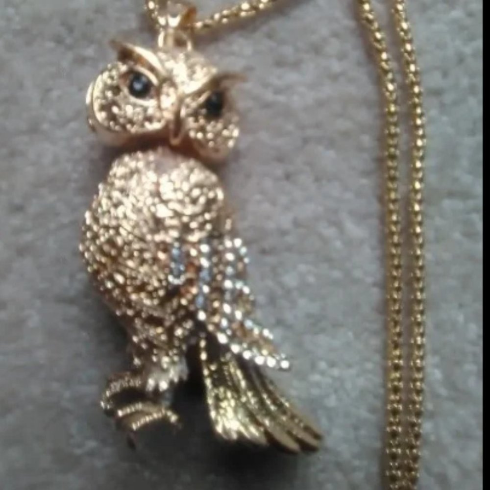 Vintage Betsey Johnson  Gold-tone Owl Necklace